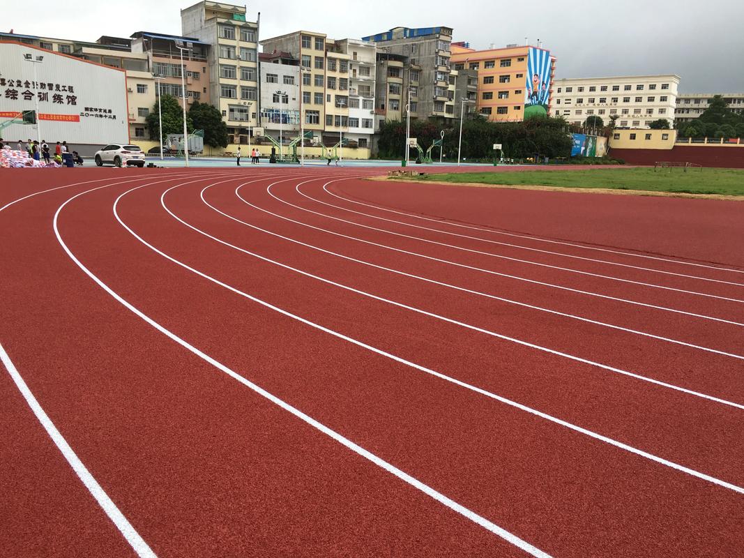 楚雄彝族自治州学校塑胶跑道塑胶跑道材料 - 排名